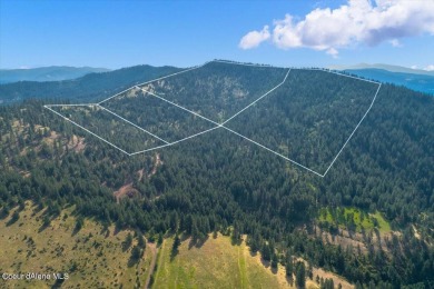Lake Acreage For Sale in Harrison, Idaho