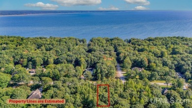 Lake Michigan - Delta County Lot For Sale in Gladstone Michigan