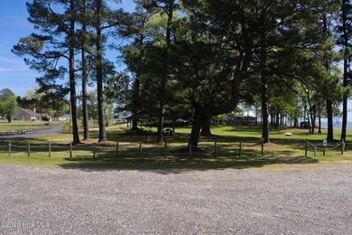 Waterfront-Deep Water Canal-seconds to the Albemarle - photo 41