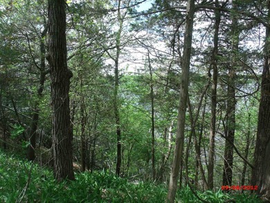 Montello City Lot with about 104 feet of Buffalo Lake water - photo 2