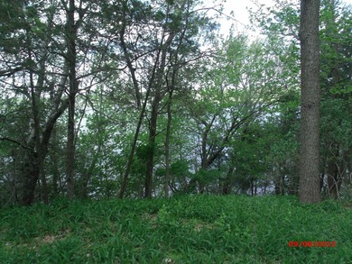 Montello City Lot with about 104 feet of Buffalo Lake water - photo 3
