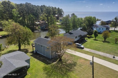 Waterfront-Deep Water Canal-seconds to the Albemarle - photo 44