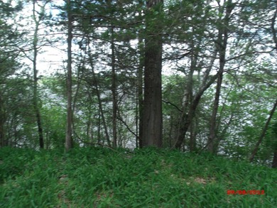 Montello City Lot with about 104 feet of Buffalo Lake water - photo 4