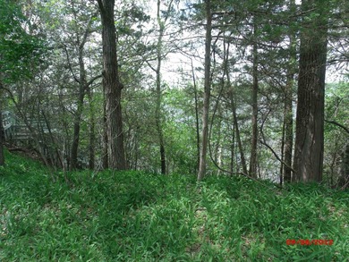 Montello City Lot with about 104 feet of Buffalo Lake water - photo 5