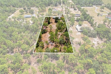 Affordable opportunity on 1.40 acres in Homosassa! This - photo 10