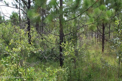 Rare 6.66-acre tract offering privacy, natural beauty and - photo 1