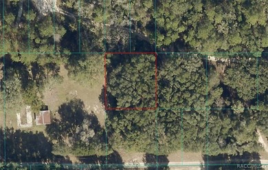 Black Sink Prairie Lake Lot For Sale in Citra Florida