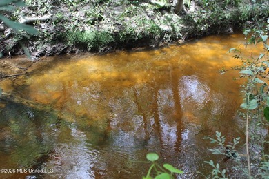Rare 6.66-acre tract offering privacy, natural beauty and - photo 2