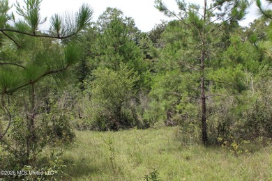 Rare 6.66-acre tract offering privacy, natural beauty and - photo 7