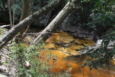 Rare 6.66-acre tract offering privacy, natural beauty and - photo 8
