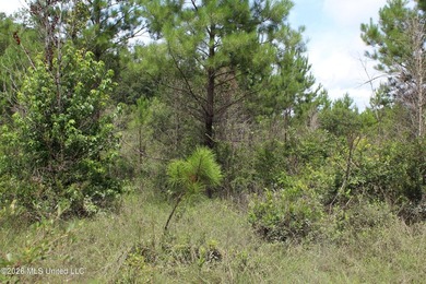 Rare 6.66-acre tract offering privacy, natural beauty and - photo 9