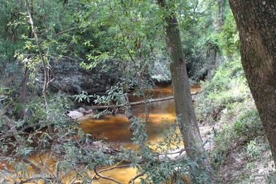 Rare 6.66-acre tract offering privacy, natural beauty and - photo 10
