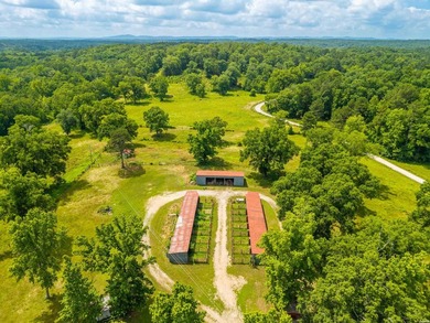 Calling all horse lovers!! Discover this rare opportunity to own - photo 4
