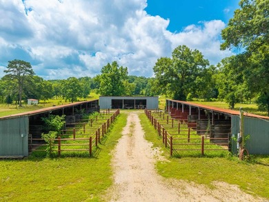 Calling all horse lovers!! Discover this rare opportunity to own - photo 5