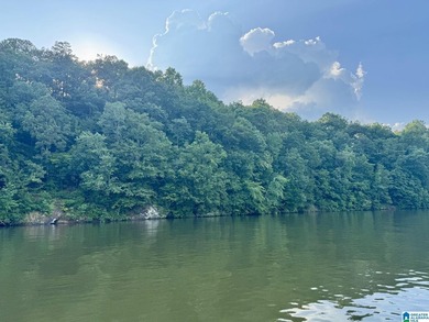 Lake Wedowee / RL Harris Reservoir Lot For Sale in Wedowee Alabama