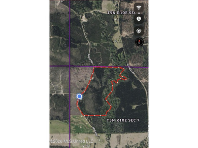 40+/- Acres - Topisaw Creek Recreational Tract Southwest - photo 5