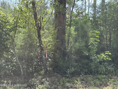 40+/- Acres - Topisaw Creek Recreational Tract Southwest - photo 9