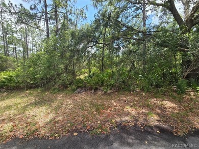 A 0.28-acre future homesite located on a quiet cul-de-sac in the - photo 1