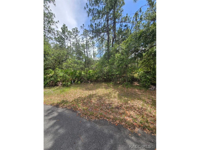 A 0.28-acre future homesite located on a quiet cul-de-sac in the - photo 2