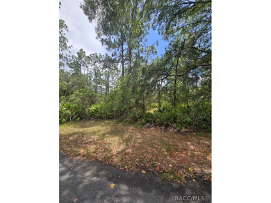 A 0.28-acre future homesite located on a quiet cul-de-sac in the - photo 3