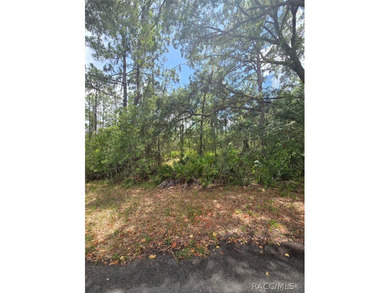 A 0.28-acre future homesite located on a quiet cul-de-sac in the - photo 4