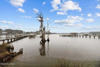 Bring your own boat !! Walk out your door and to your personal - photo 14