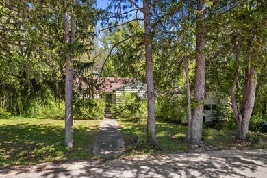 Nestled among the trees in beautiful Burlington, this charming - photo 23