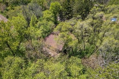 Nestled among the trees in beautiful Burlington, this charming - photo 25