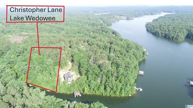LOTS OF POTENTIAL WITH THESE TWO LAKE LOTS. LOCATED IN A QUIET - photo 1
