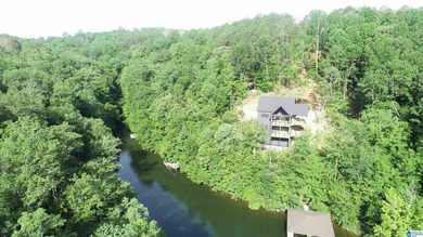 LOTS OF POTENTIAL WITH THESE TWO LAKE LOTS. LOCATED IN A QUIET - photo 3