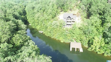 LOTS OF POTENTIAL WITH THESE TWO LAKE LOTS. LOCATED IN A QUIET - photo 4