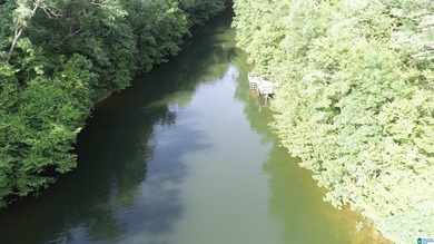 LOTS OF POTENTIAL WITH THESE TWO LAKE LOTS. LOCATED IN A QUIET - photo 5