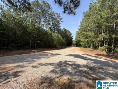 LOTS OF POTENTIAL WITH THESE TWO LAKE LOTS. LOCATED IN A QUIET - photo 7