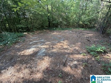 LOTS OF POTENTIAL WITH THESE TWO LAKE LOTS. LOCATED IN A QUIET - photo 8