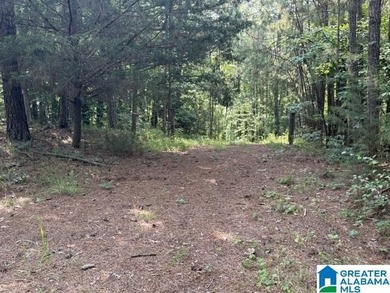 LOTS OF POTENTIAL WITH THESE TWO LAKE LOTS. LOCATED IN A QUIET - photo 9