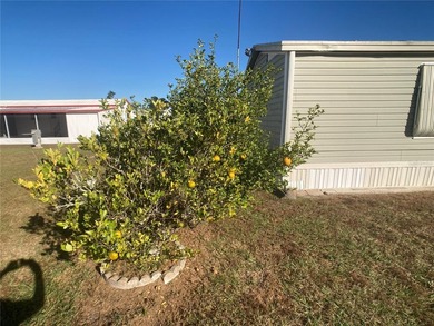 Come retire in Riverbreeze Estates! A well-maintained gated 55+ - photo 32