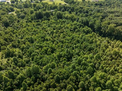 56.65+/- acre recreational and country estate opportunity near - photo 33