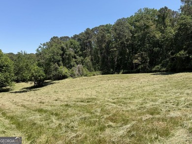 (private lake, pond, coastal) Acreage For Sale in Canton Georgia