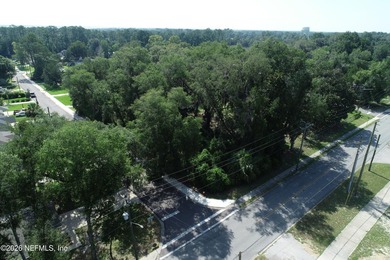 Build your new home or explore the potential to subdivide this - photo 3