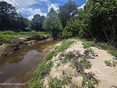8+/- Acres Bordering Caney Creek Wildlife Management Area | - photo 1