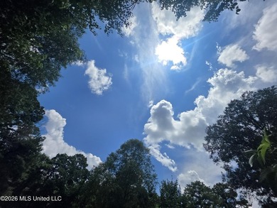 8+/- Acres Bordering Caney Creek Wildlife Management Area | - photo 7