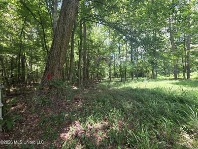 8+/- Acres Bordering Caney Creek Wildlife Management Area | - photo 10