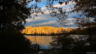 Located in the desirable Smallwood lake community in the Town of - photo 16