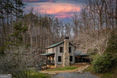 Lake Home For Sale in Ellijay, Georgia