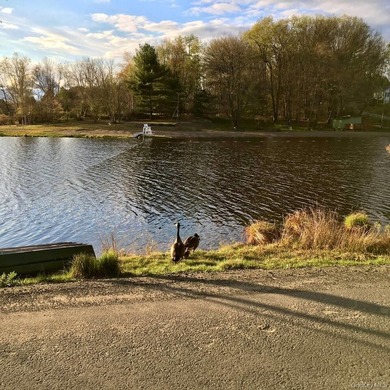 Located in the desirable Smallwood lake community in the Town of - photo 21