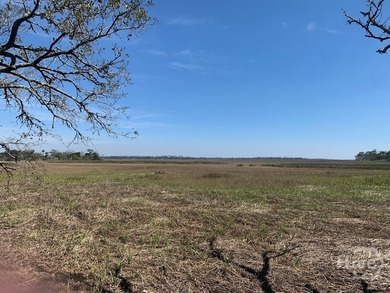 Marsh - photo 5