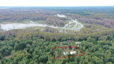 Caddo Lake Escape where the woods, water, and wildlife come - photo 4