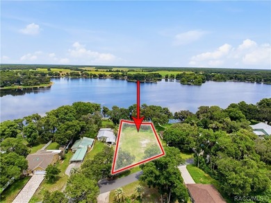 Tsala Apopka Chain of Lakes Lot Sale Pending in Floral City Florida