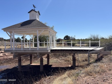 Lake Lot For Sale in Snowflake, Arizona