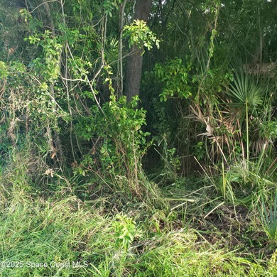 Indian River Lot For Sale in Merritt Island Florida